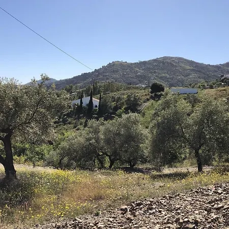 Cortijo Pura Vida Tatil Evi Cómpeta